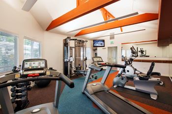 State-of-the-art gym and spin studio